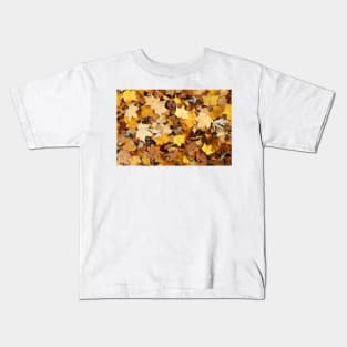 Autumn Leaves Kids T-Shirt